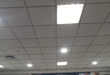 Remote Job, Solusi Karier Masa Depan: Pemuda Katolik Semarang Siap Bersaing Global