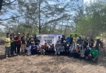 Pemuda Katolik Babel Tanam 100 Mangrove, Perkuat Benteng Alami Pesisir